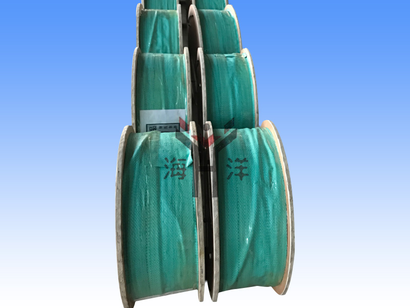 Stainless steel control line